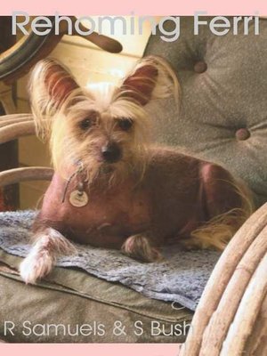 cover image of Rehoming Ferri